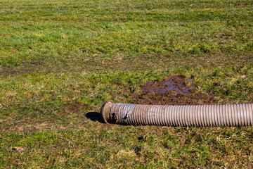 Big tube with slurry or manure is laying in the grass