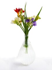 posy of multicolor freesia flowers close up