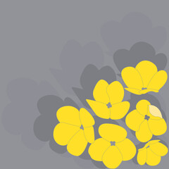 Yellow illuminating viola flowers on ultimate gray background