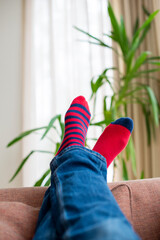 Crossed legs in red socks resting on sofa. Close up.