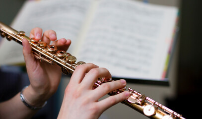 Young musician playing the clarinet while reading music