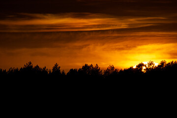 Sonnenuntergang am Waldrand