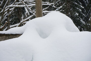 Schnee