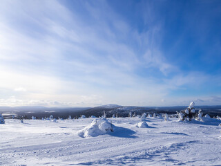 Snowy scenery on top of a fell in Lapland, Finland