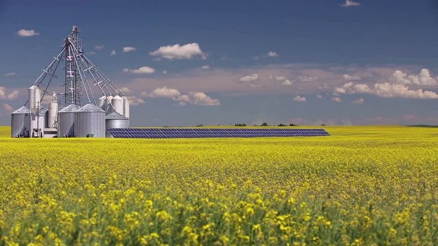 Canola Grain Silo Solar Panel