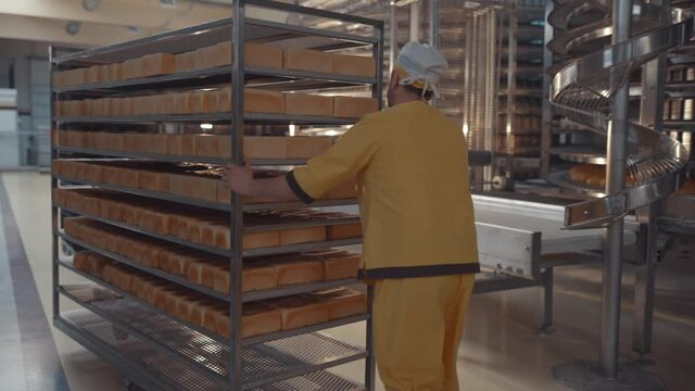 The baker is carrying shelves of ready-made bread. Bakery food factory. Industrial production of bakery products on a conveyor belt - technologies and equipment at a food processing plant.
