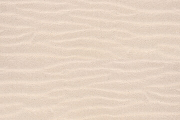 Fototapeta na wymiar Top view of Sand texture. Sandy beach for background.