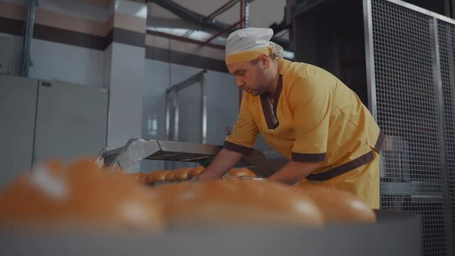 Bread bakery food factory production with fresh products. Automated production of bakery products. Baker man working at bread production line.