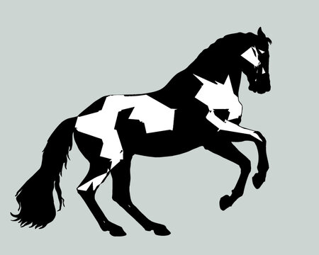 prancing horse, stylized isolated monochrome image on a gray background