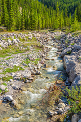 Fototapeta premium Majestic mountain river with mountain background in Canada.