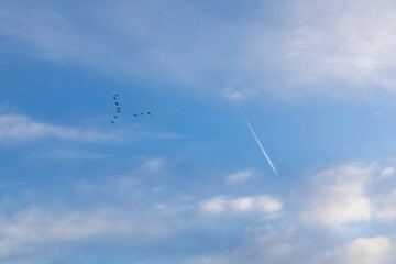 white clouds in the blue sky