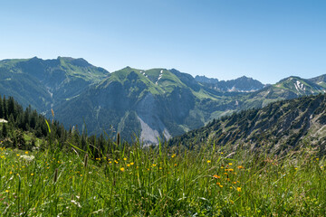 Fototapeta premium View to the mountain Lachenspitze in the valley of Tannheim.