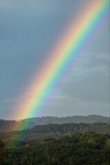 Rain falling from the sky, bringint the very needed humidity to the nature