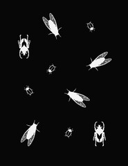 Beetle and cicada pattern