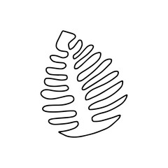 Illustration of a black leaf monstera isolated on a white background