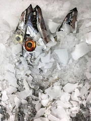 toter Fisch im Supermarkt