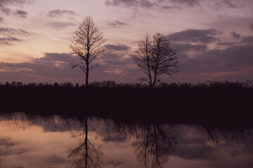 beautiful sunset on the river with clouds on the background of trees
