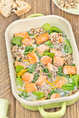 Fried salmon with quinoa and spinach series picture 03