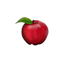 Illustration of one red apple.