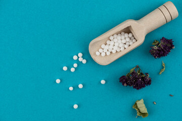 Homeopathy alternative medicine eco concept - classical homeopathy pills. Homeopathic globules and healing herbs. Blue background. 