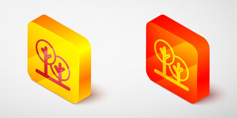 Isometric line Tree icon isolated on grey background. Forest symbol. Yellow and orange square button. Vector