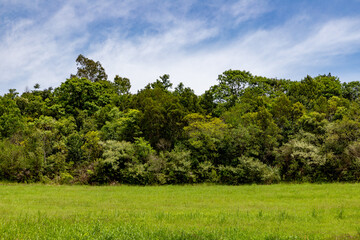 Forest and farm field