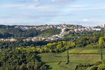 Vineyards and forest with Bento Goncalves city in background