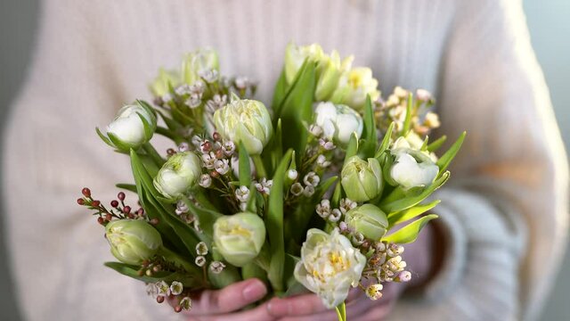 Woman in white sweater holds beautiful spring bouquet of tulips. March 8, Mother's Day or International Woman's Day concept. Flower shop or tenderness concept. 4K footage