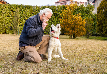 Senior man playing with White Swiss Shepherd puppy in the garden..