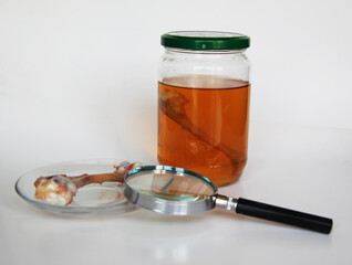 glass jar inside, vinegar and animal bone and  magnifying glass. in-class test materials