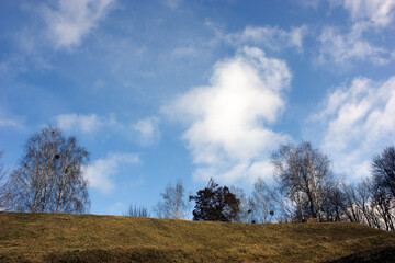Spring landscape: A bright blue sky with white clouds and silhouettes of trees on the top of the hill against this sky.