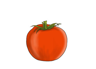 vegetable red round tomato shape on white background tr:( beyaz arkaplan üzerinde kımızı yuvarlak domates
