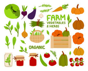 Farm products. Set of vector vegetables and greens in eco style. Garden plants: cabbage, onion, rosemary, arugula, pumpkin. Jars of jam. Elements for packaging, scrapbooking, textiles, children's game