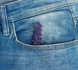 front pocket of blue classic jeans, full frame