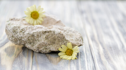 Spa, hotel or gift card on  vintage wooden background with stone and yellow daisy