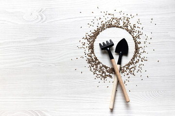 on a light wooden background, dill seeds are scattered around the tool for planting a garden (shovel and rake). concept: planting rules