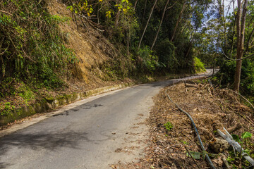 Road in a forest of Kinabalu Park, Sabah, Malaysia