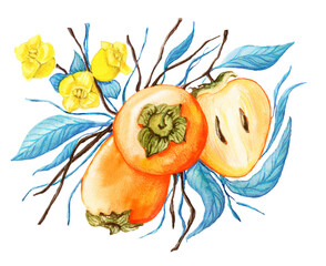 Watercolor drawing, orange persimmon, yellow flowers and blue leaves