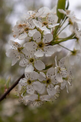 Taking A Stroll Around Rock Springs Park GA