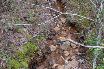 Taking A Stroll Around Rock Springs Park GA