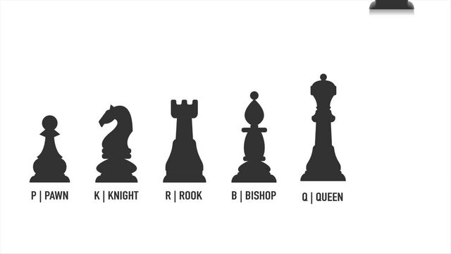 Chess pieces with titles black and white kings and queens on white background