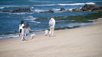 Familia feliz a passear na praia com 2 mascotes - cães brancos - à beira mar