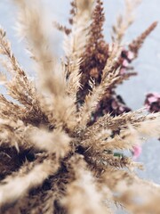 Beautiful dried flowers bouquet.