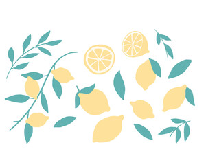 レモンのイラスト　Lemon illustration