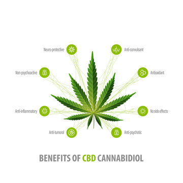 Cannabidiol Benefits, white inphographic poster with icons of benefits and green leafs of hemp
