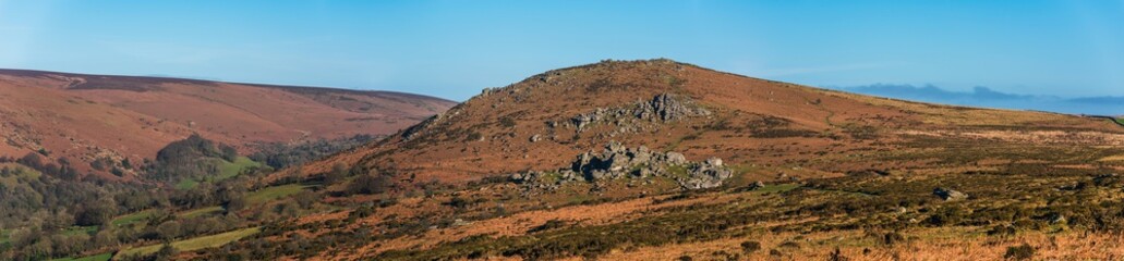 Fields and meadows in Haytor Rocks, Dartmoor Park, Widecombe in the Moor, Devon, England, Europe