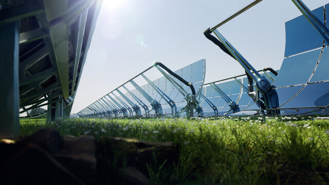 Solar water heating system in sun light surrounded by a field with flowers. eco renewable energy 