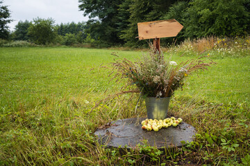 Decorative wooden signpost in a green meadow