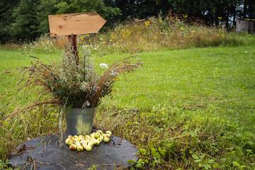 Decorative wooden signpost in a green meadow