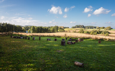 Wooden stumps in the autumn meadow